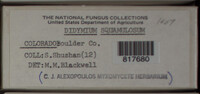 Image Associated With the Occurence